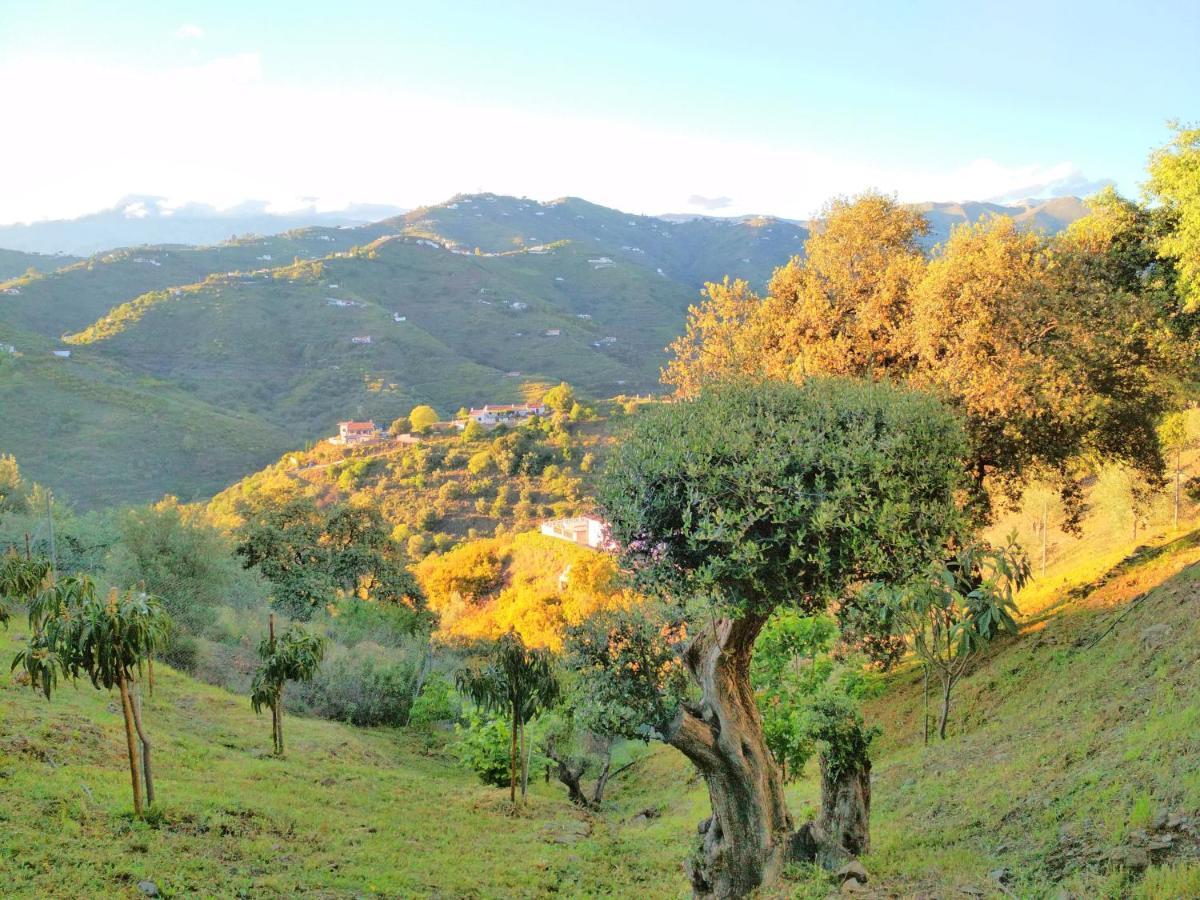 Villa Las Encinas Costa Del Sol Torrox Eksteriør bilde