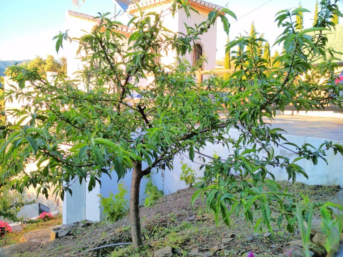Villa Las Encinas Costa Del Sol Torrox Eksteriør bilde