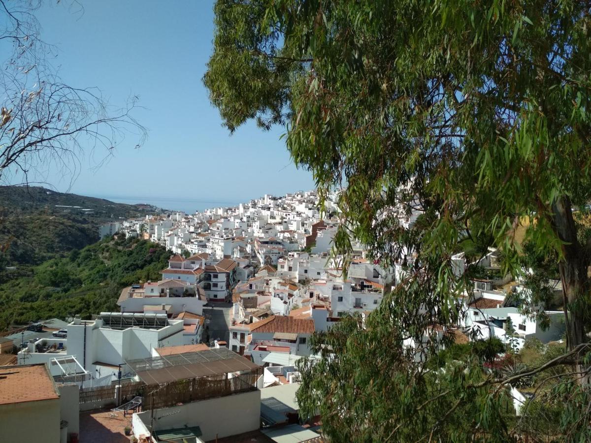 Villa Las Encinas Costa Del Sol Torrox Eksteriør bilde